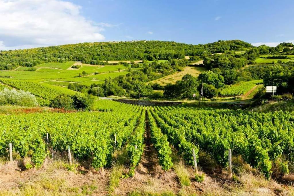 Апартаменты Le Chardonnay - LocationТурню Экстерьер фото